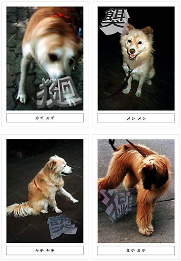 �J�C�J�C�@���V���V�@�L�e�L�e�@�~�e�~�e