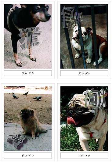 �t���t���@�_���_���@�h�R�h�R�@�R���R��